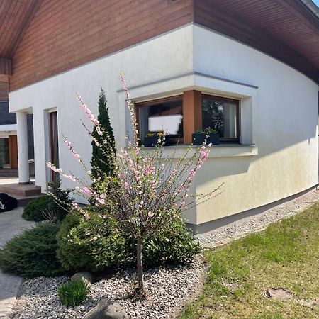 Apartament Przy Lesie Chojno-Blota Wielkie المظهر الخارجي الصورة
