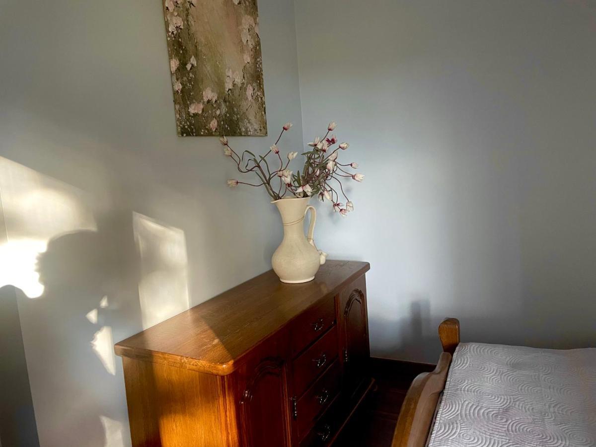 Apartament Przy Lesie Chojno-Blota Wielkie المظهر الخارجي الصورة